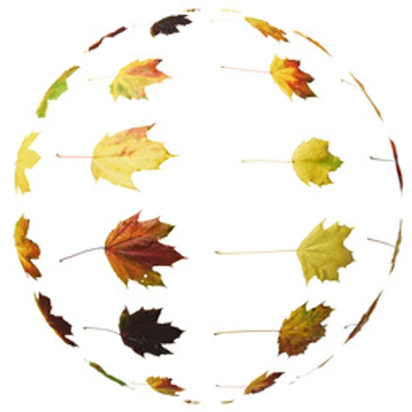 LeafSet 028 - Atlas - PBR texture - from ambientCG