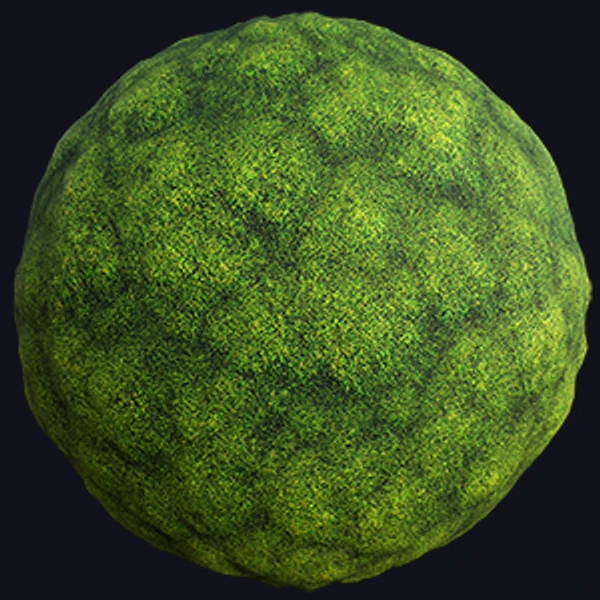 Moss Texture (Ground 0014)