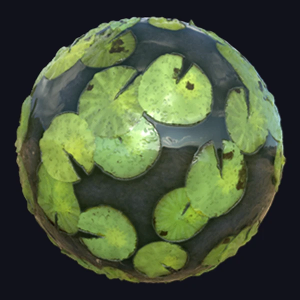 Water Lily Leaves Texture (Ground 0033)