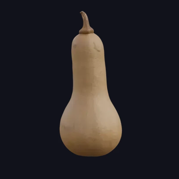 Pumpkin 3 - 3D Models - 3D model - from Share Textures