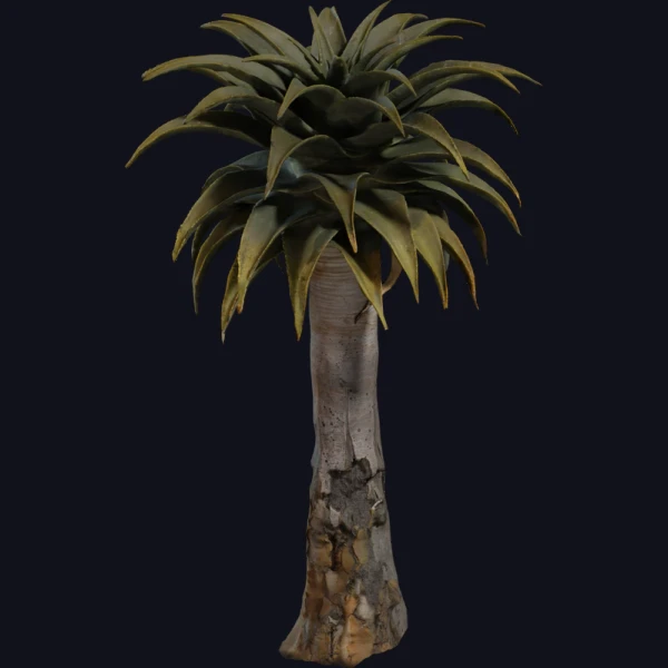 Quiver Tree 02 - 3D Models - 3D model - from Poly Haven