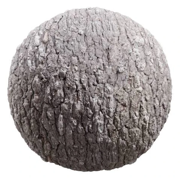 Bark 03