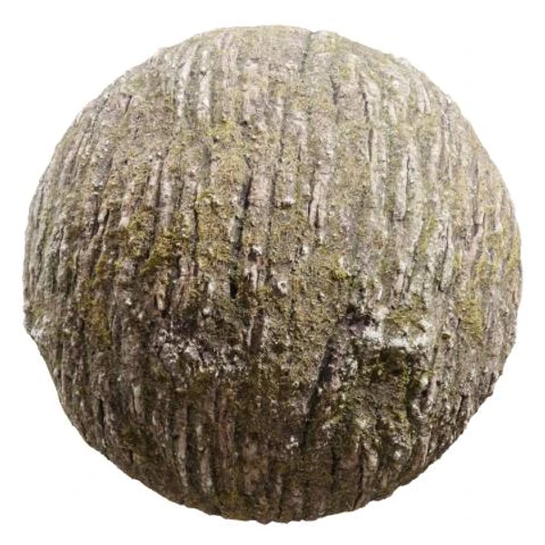 Mossy Bark 02