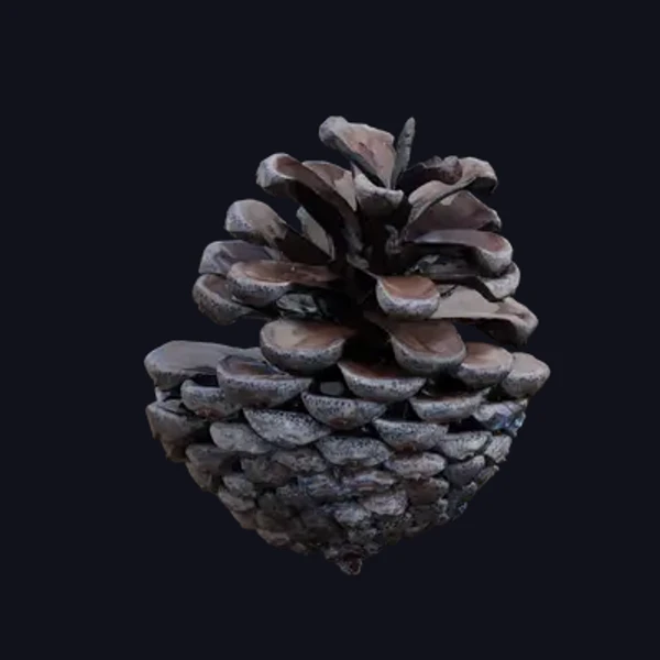 Pinecone 1