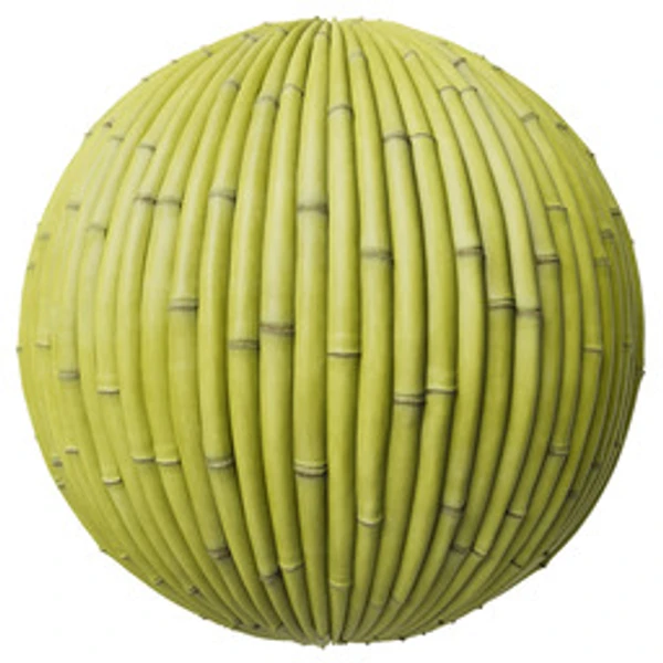 Bamboo 001A