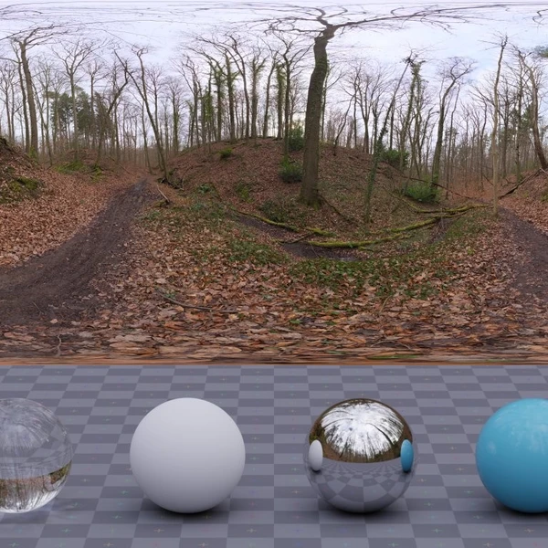 Autumn Forest 02 - HDRI map - from Poly Haven