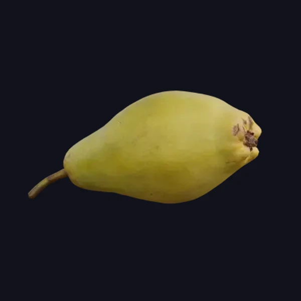 Pear 2 - 3D Models - 3D model - from Share Textures