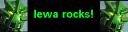 lewa.gif