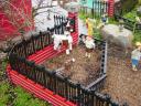 dsc02633.jpg