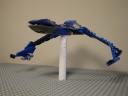 dsc02543.jpg
