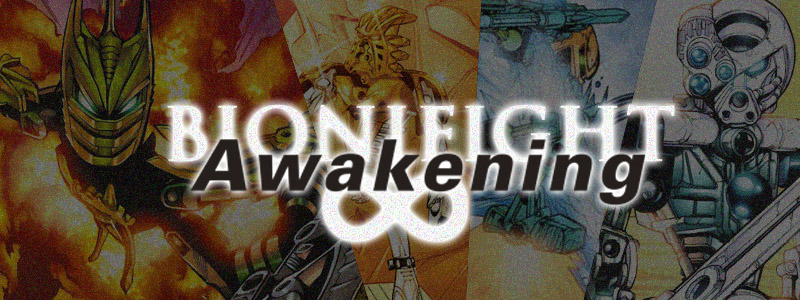 bionifightinfiniteawakeningfinal.jpg