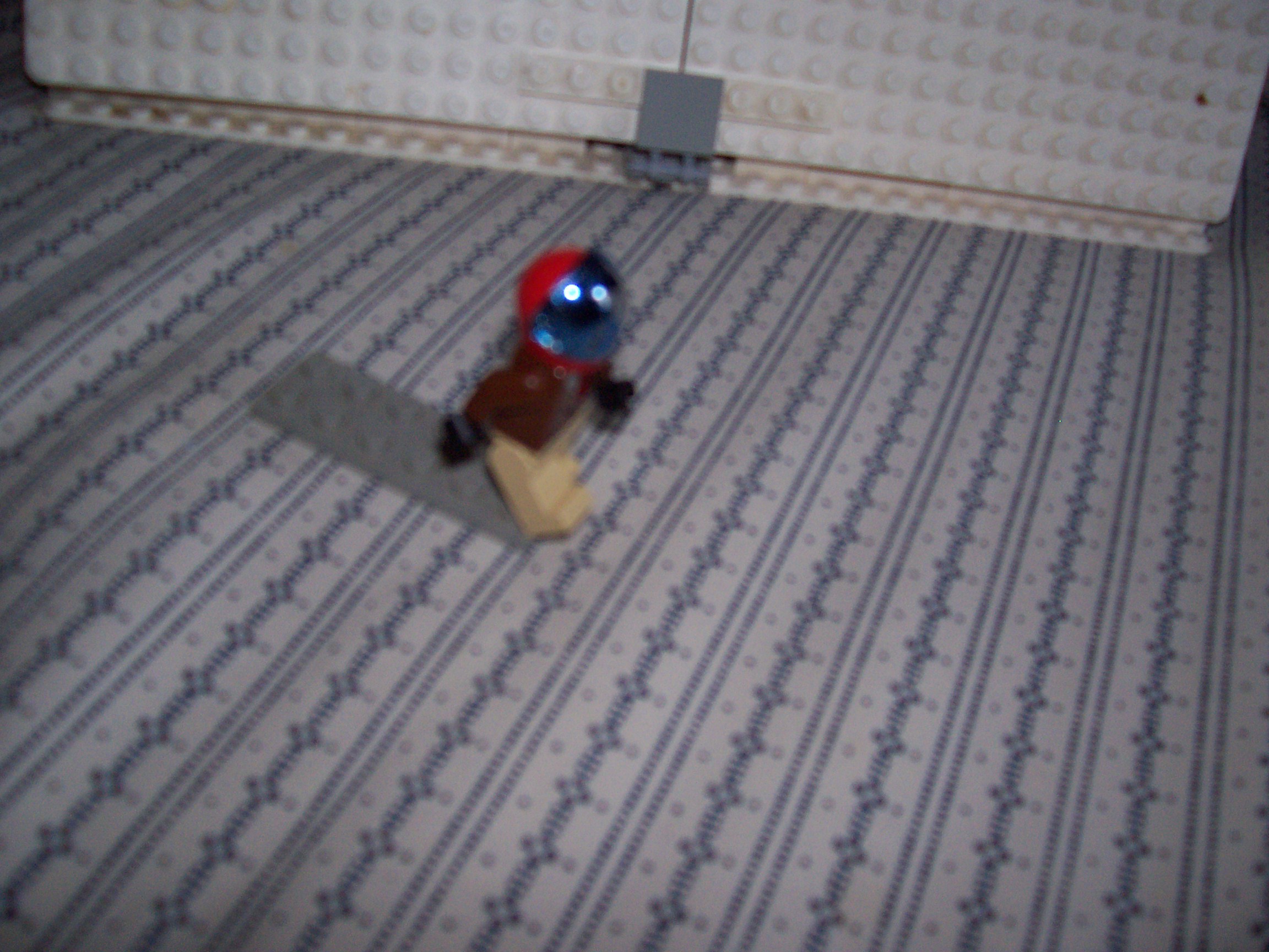 100_0494.jpg