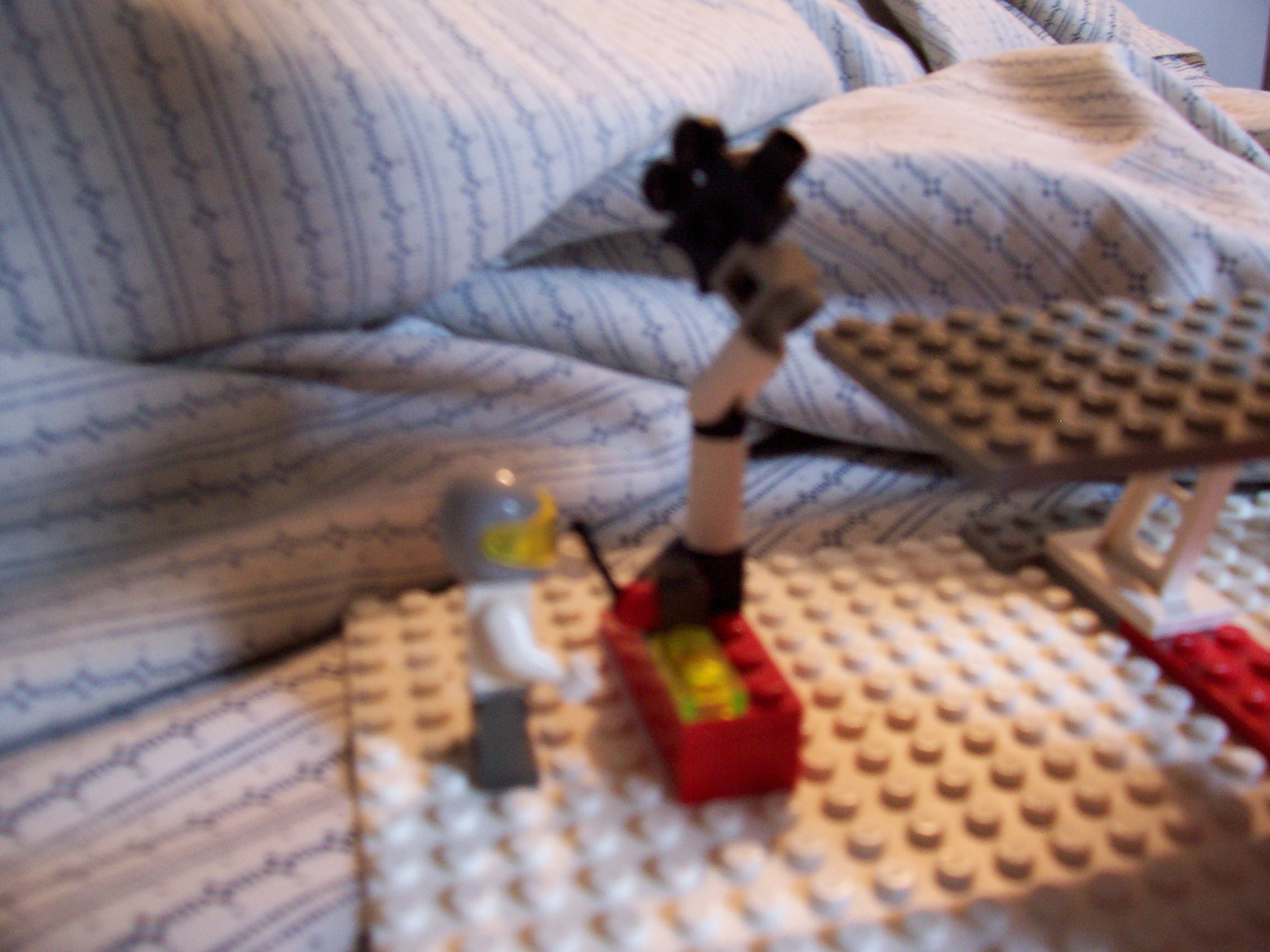 100_0591.jpg