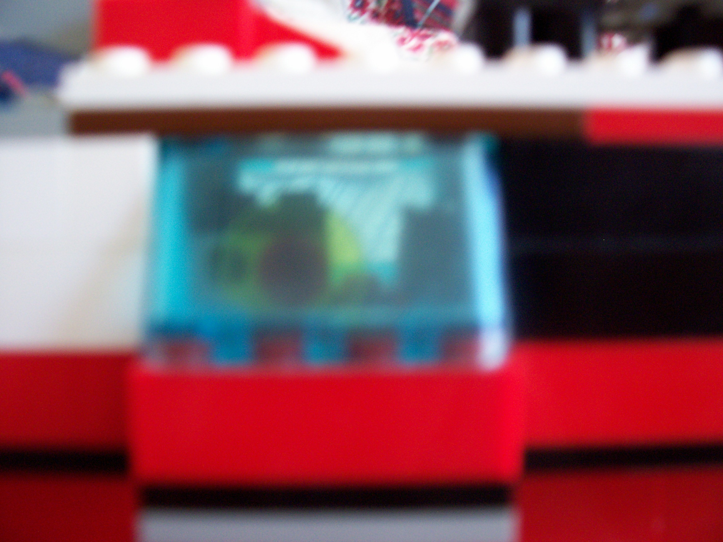 100_0828_00.jpg