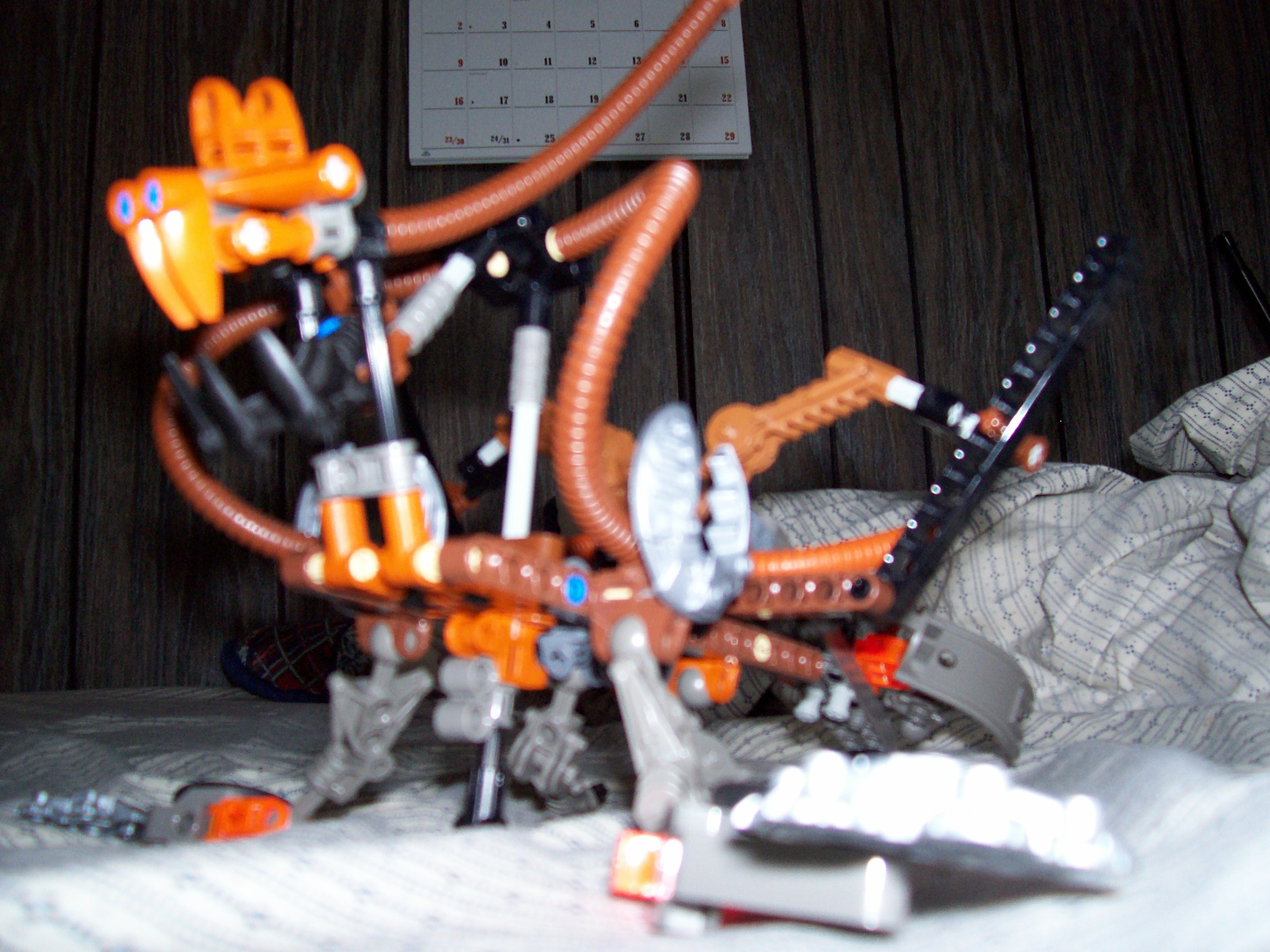 100_0644.jpg