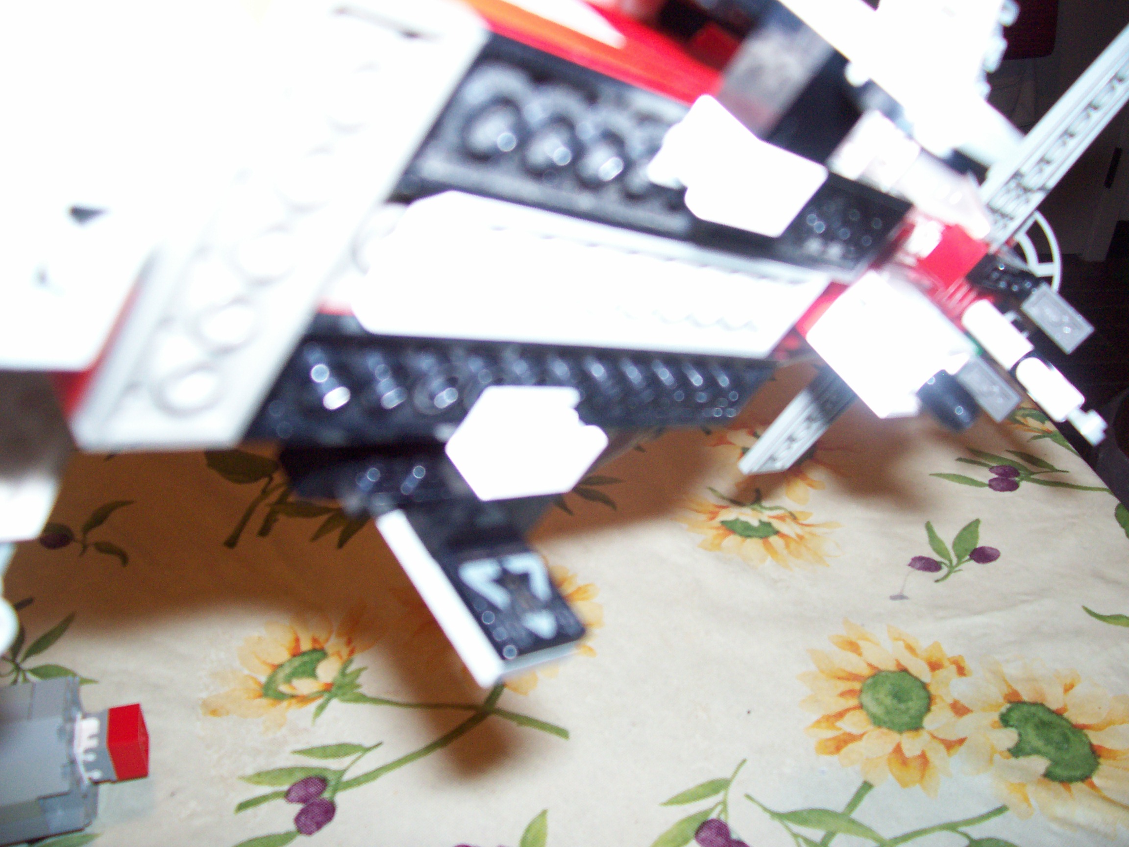 100_0883.jpg