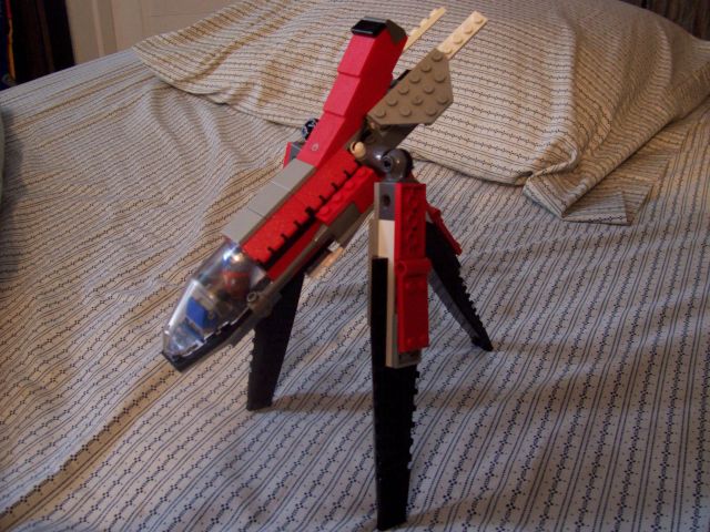 100_1444.jpg