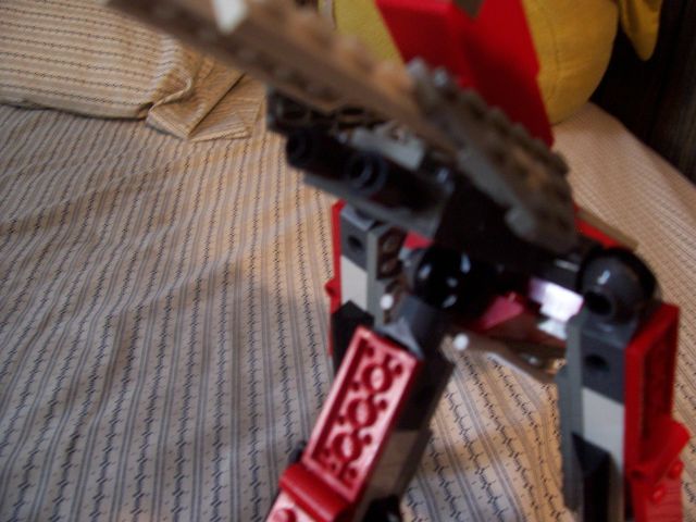 100_1445.jpg
