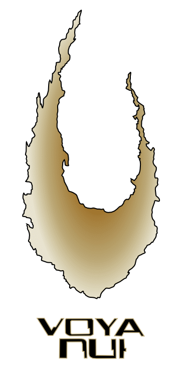 voyanui.gif