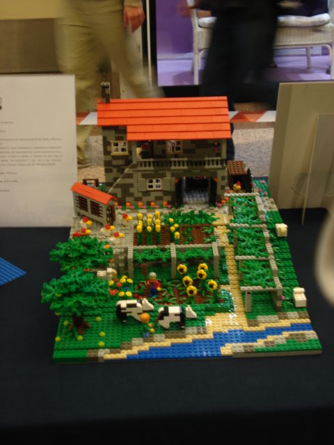 dsc00031.jpg