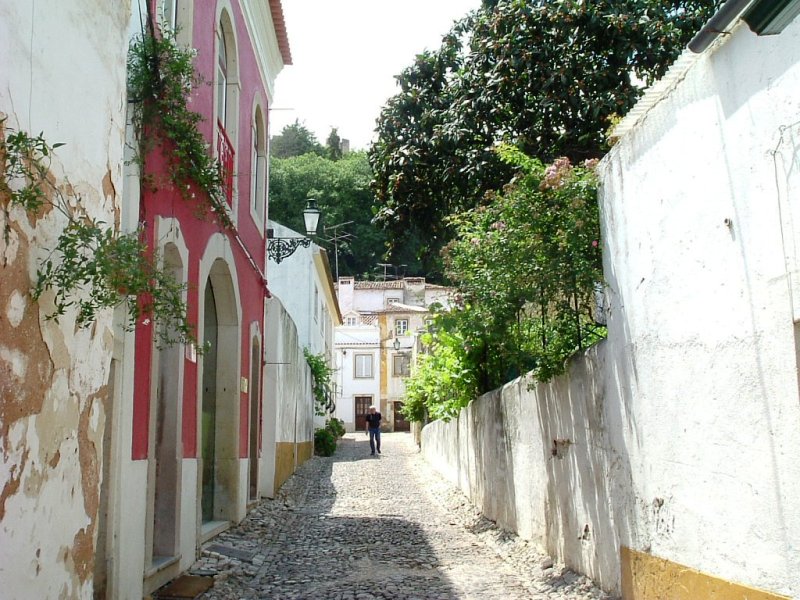 tomar040.jpg