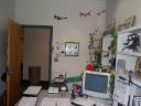 my-office.jpg