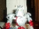 moc.jpg