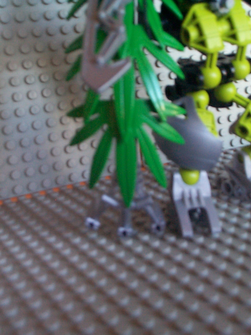 04.jpg