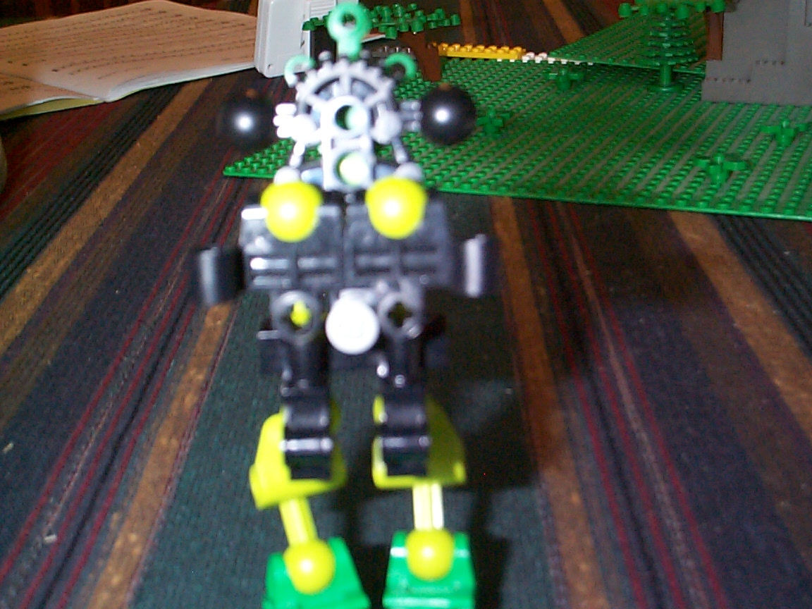 005.jpg