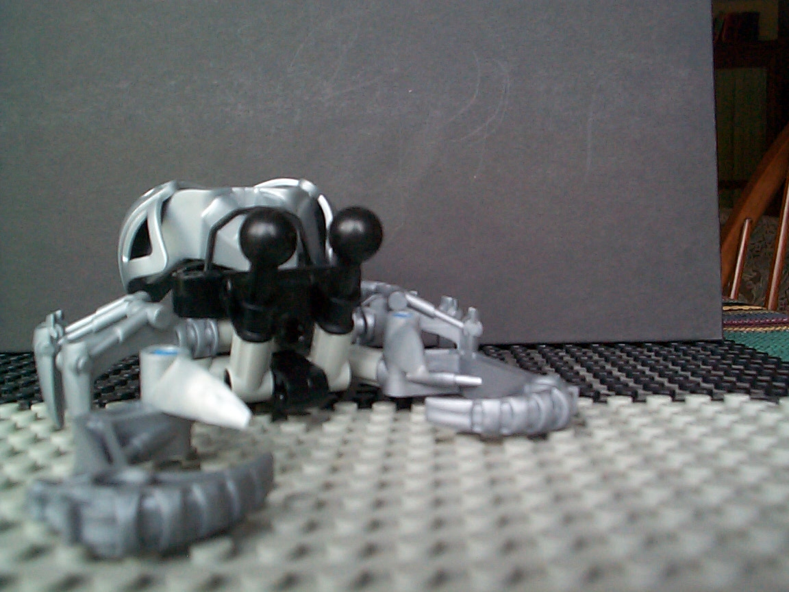 hermit_crab_1.jpg