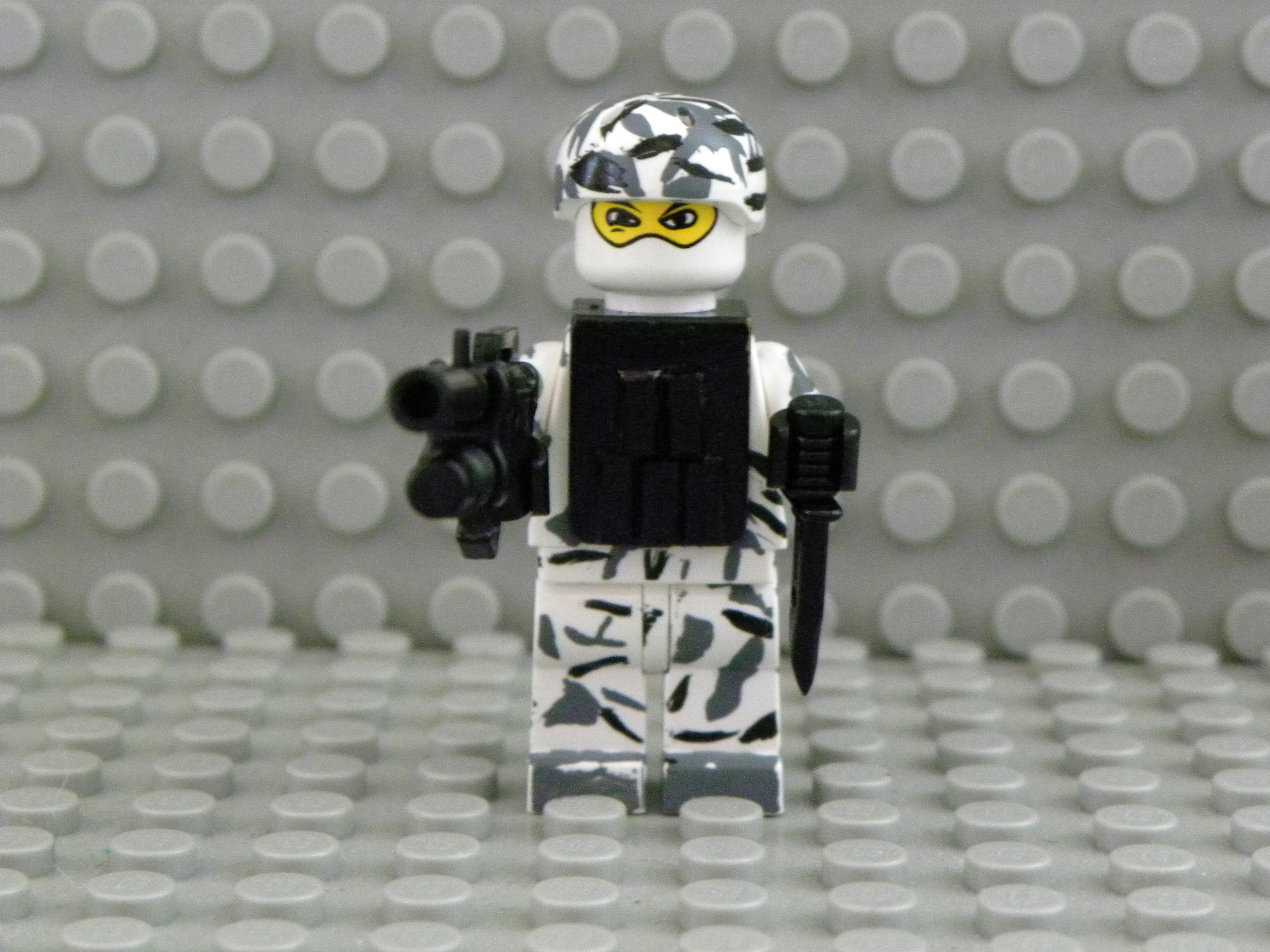 dscn1520.jpg
