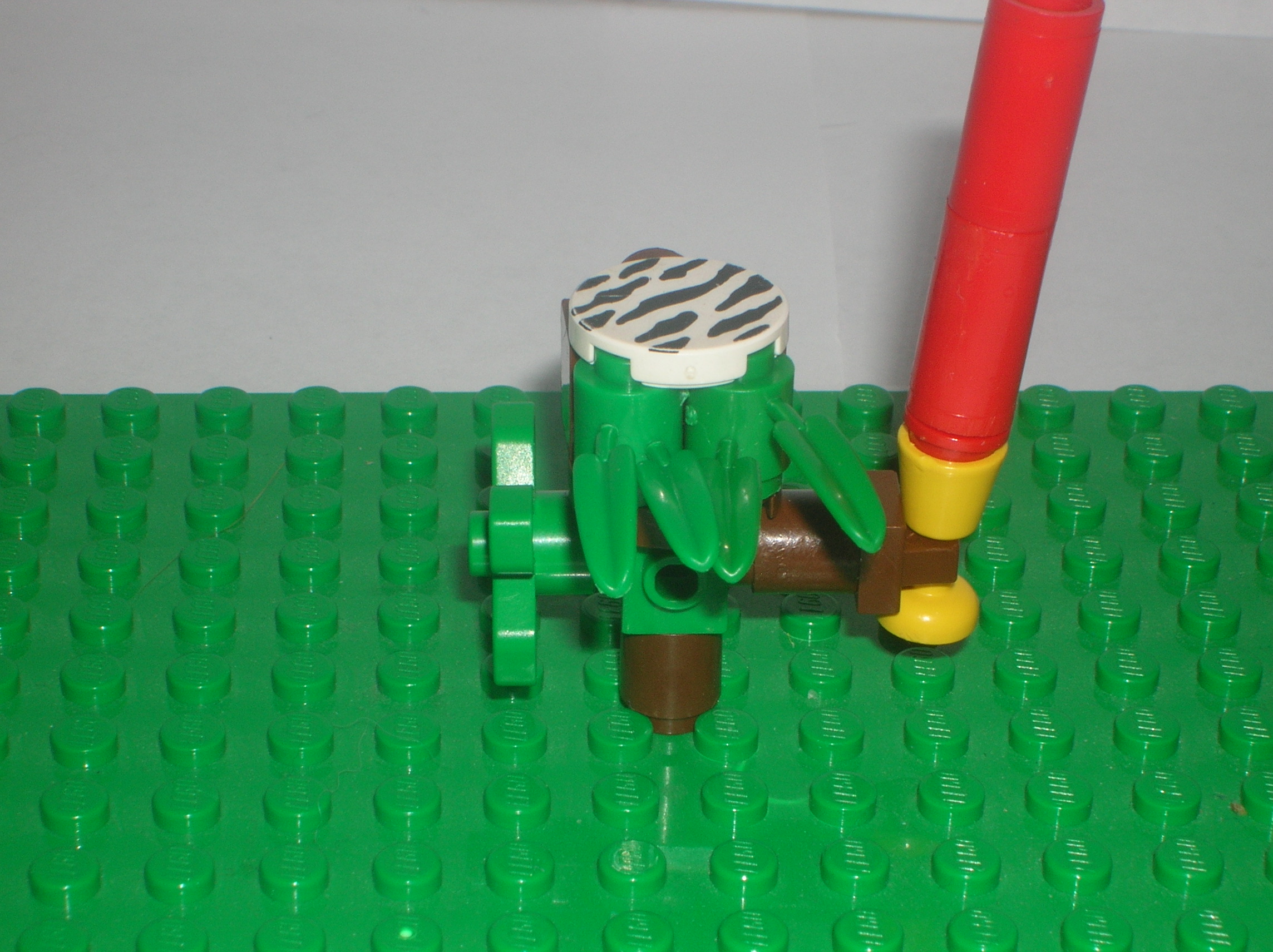 dscn0455.jpg