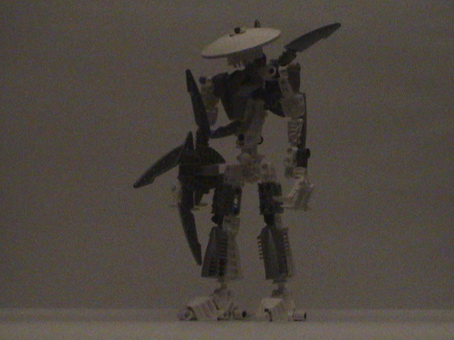 dsc00021.jpg