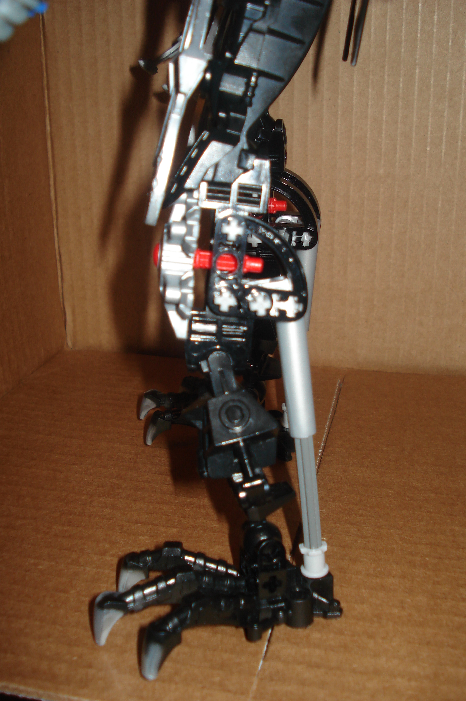 dsc04315.jpg