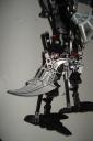 dsc04341.jpg