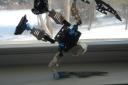 dsc03063.jpg