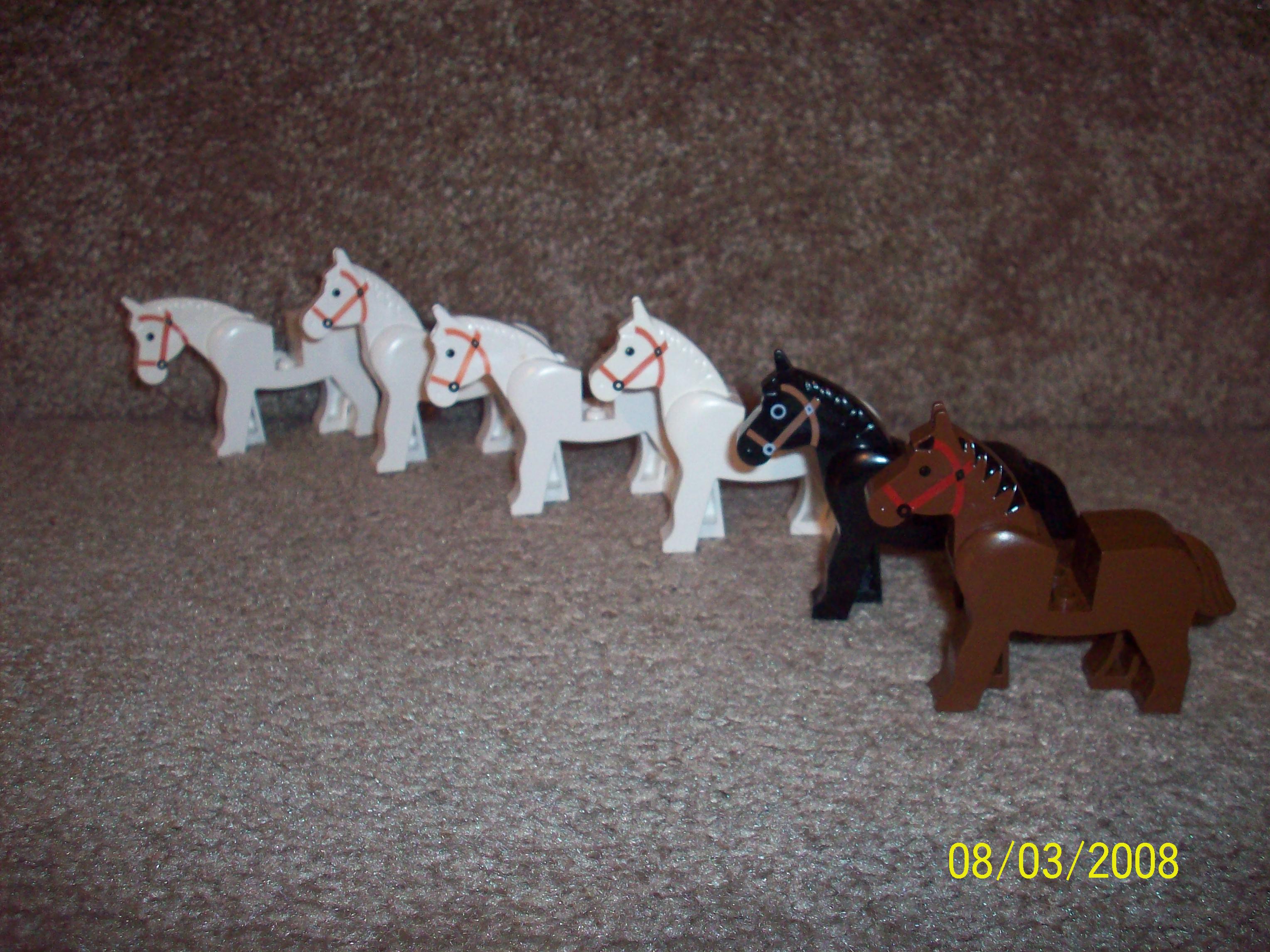 100_1542.jpg
