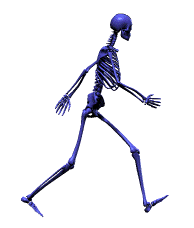 animation-skeleton2.gif