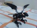 makuta_raptor.jpg