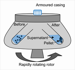 centrifugation4.png