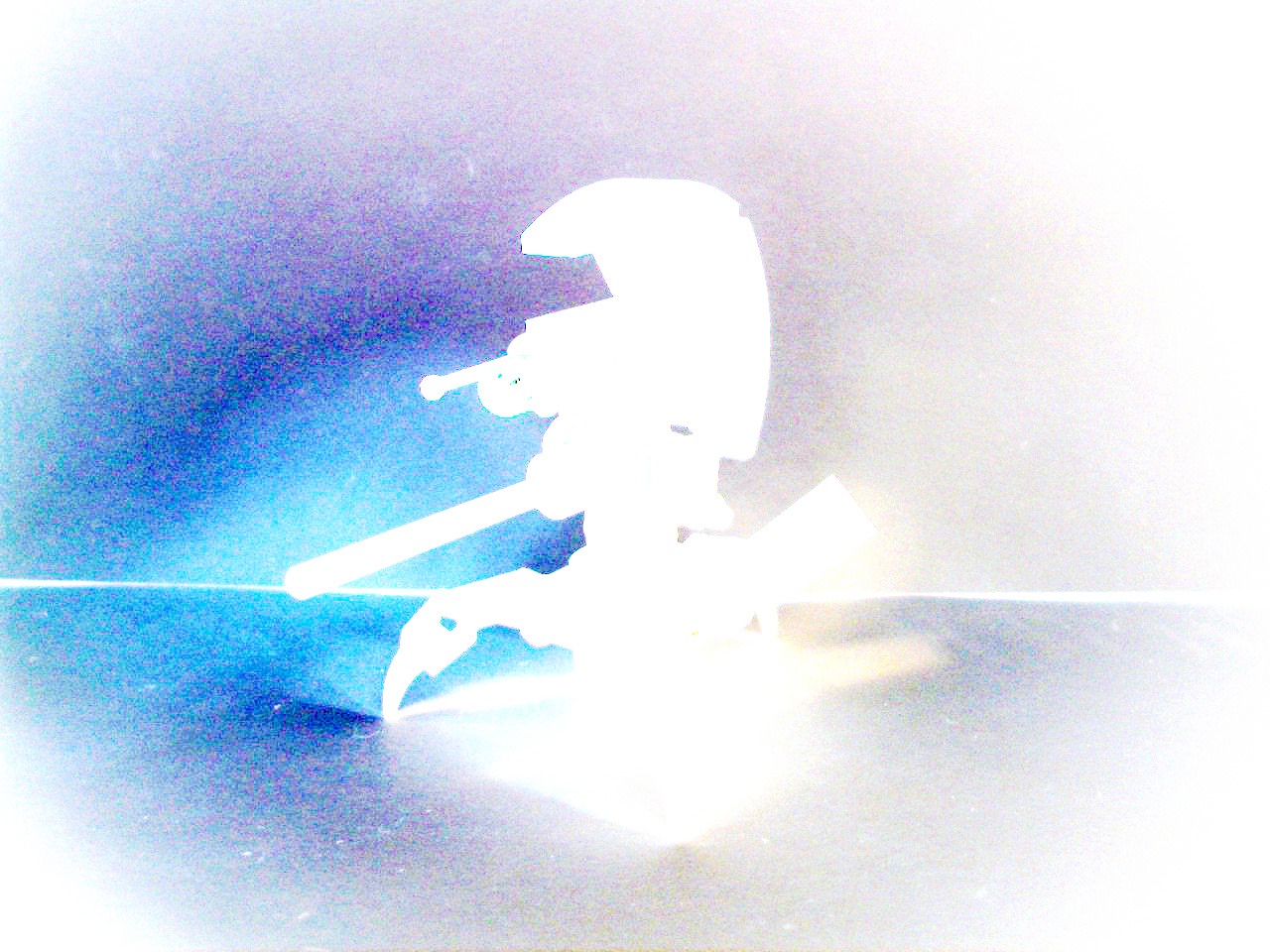 100_925867.jpg