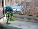 100_6799.jpg