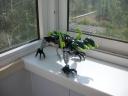 100_4245.jpg