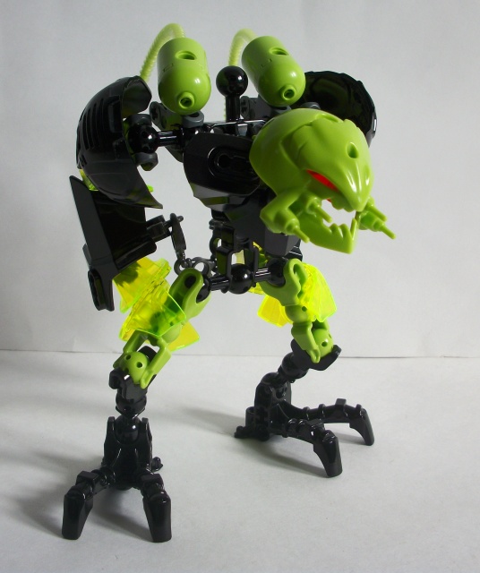 100_6904.jpg