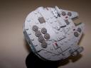 falcon_002.jpg