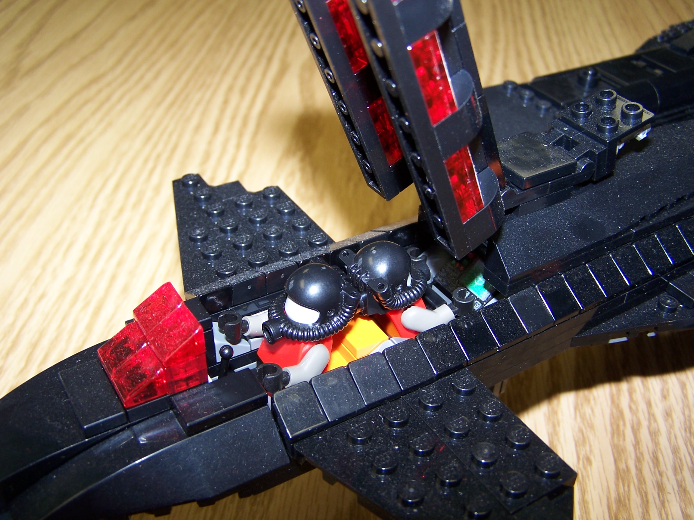 night_raven_0117.jpg