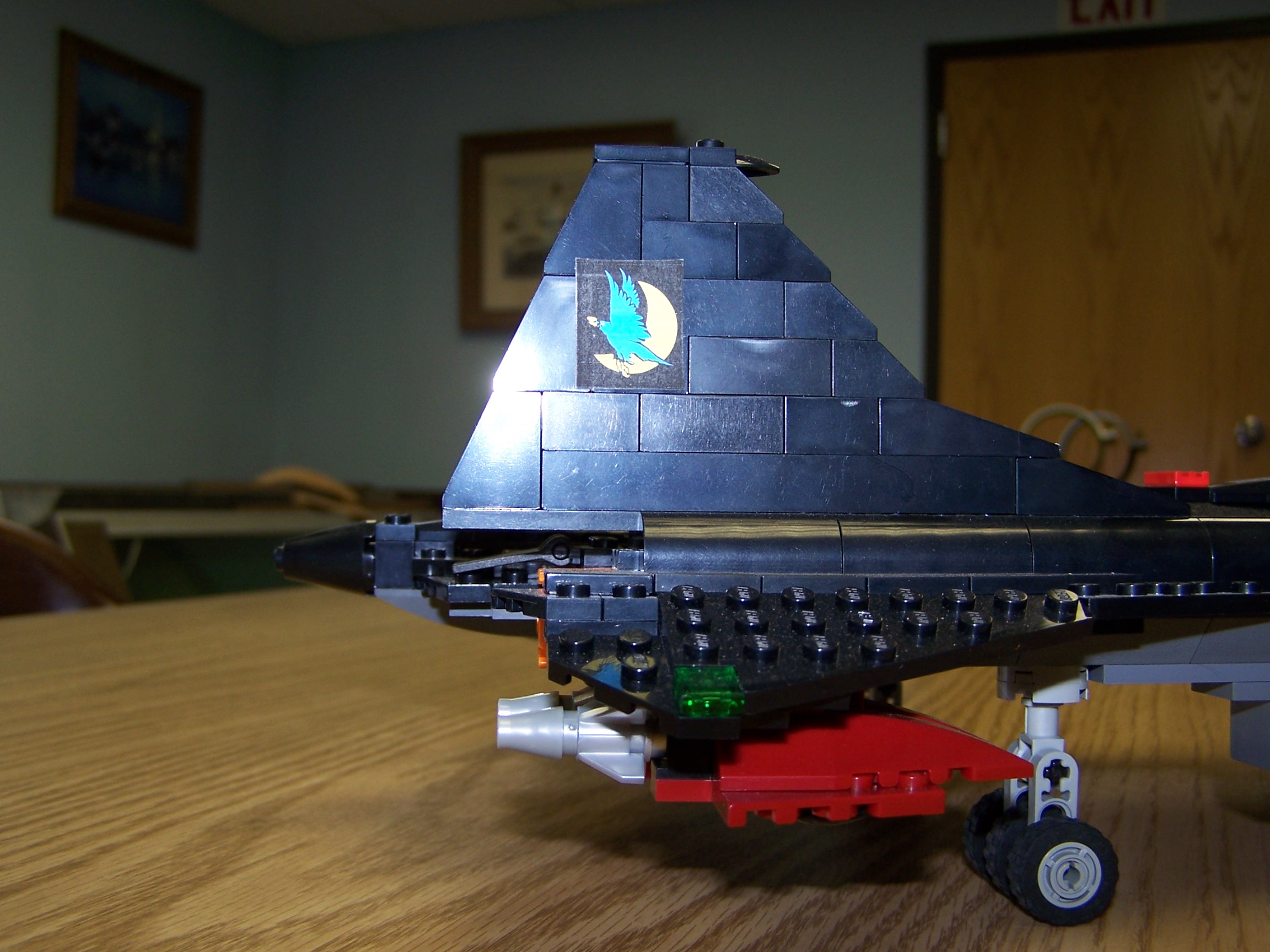 night_raven_015.jpg