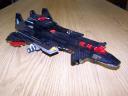 night_raven_018.jpg