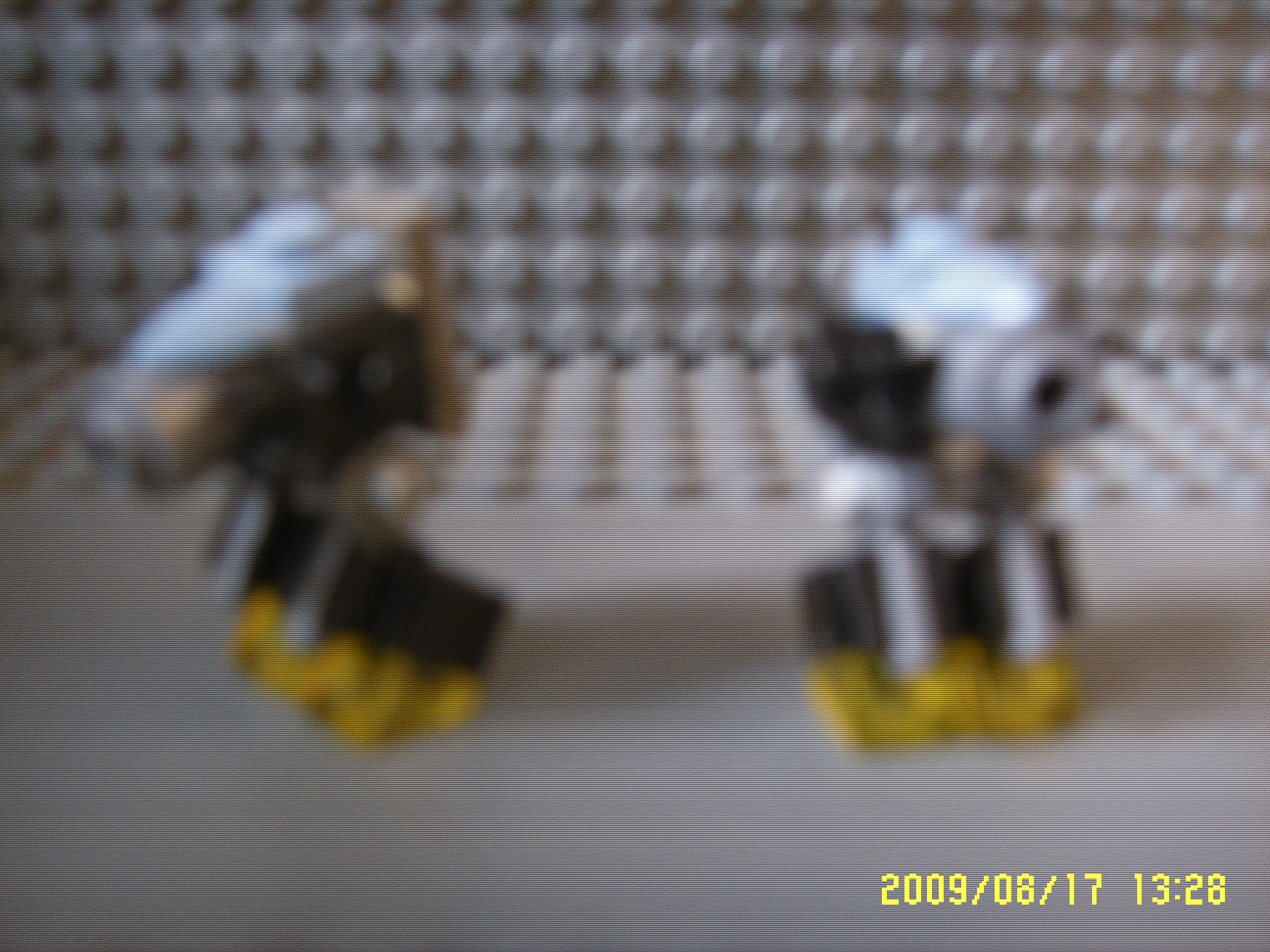ssl10171.jpg