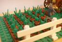 farm
